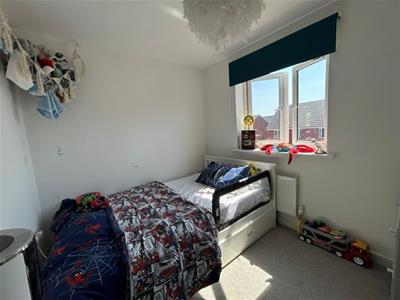 Picture 10